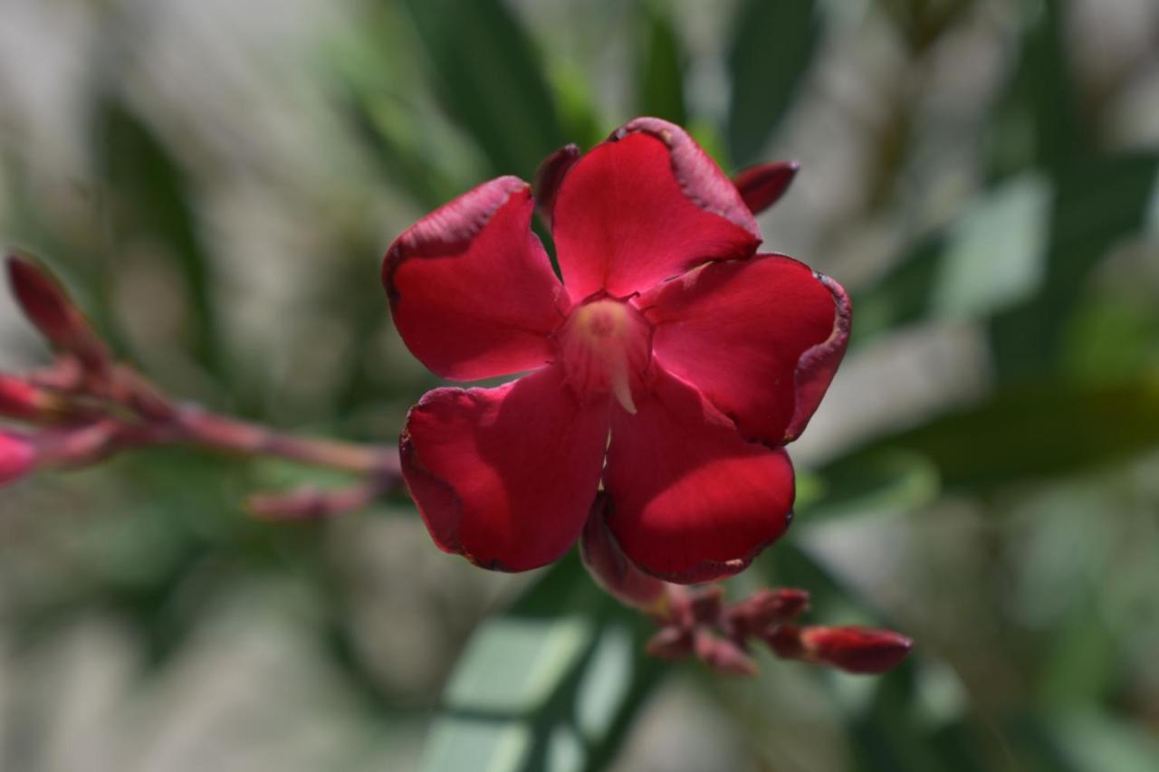 Palmengarten Finning Dış mekan fotoğraf